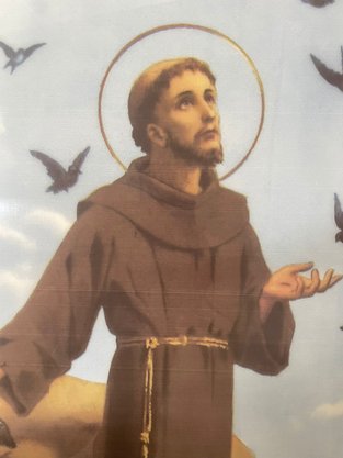 Porcelanato São Francisco de Assis - Dexco