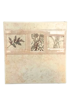 AZULEJO CERAMICO JARDIM SECO - 15,5X15,5CM - COMERCIAL - DEXCO