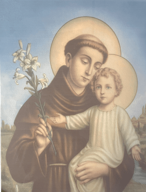 Porcelanato Santo Antônio Full HD - Dexco