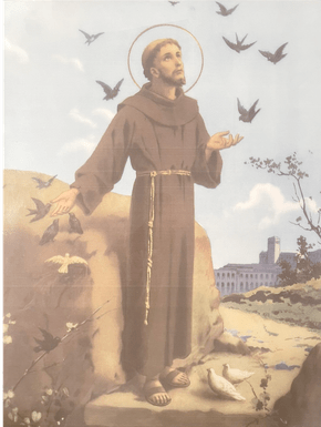 Porcelanato São Francisco de Assis - Dexco