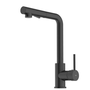 Torneira Monocomando Mesa Bica em L Duas Funções Prática Black Matte - Roca